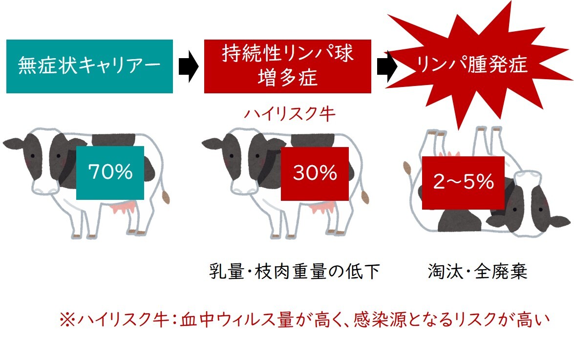 主要症状を基礎にした牛の臨床3 主要症状を基礎にした牛の臨床 3 | 田島誉士, 小岩政照 |本